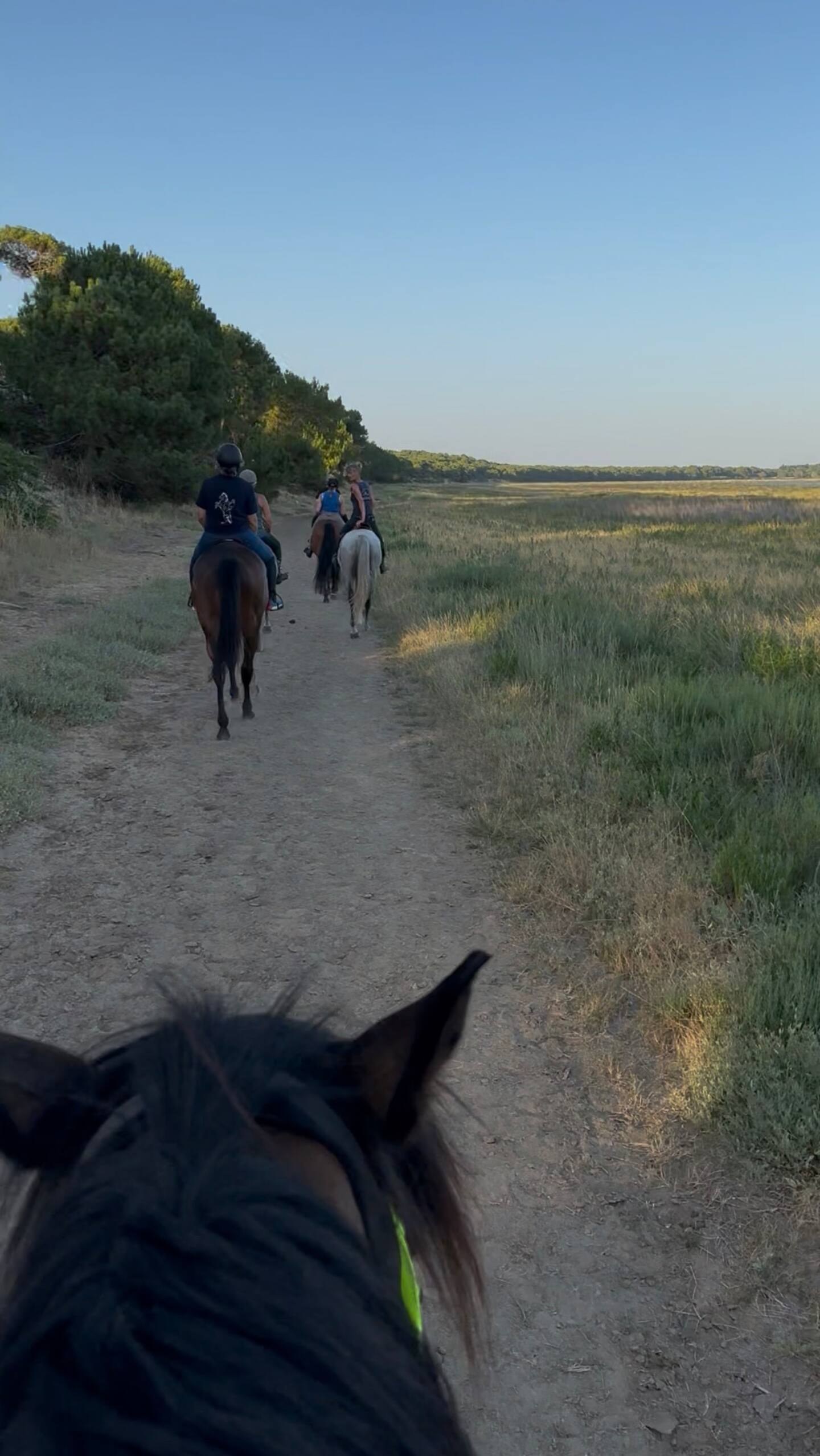 Studio vacances Les Mathes — L'Écrin Éminence · Balade à cheval