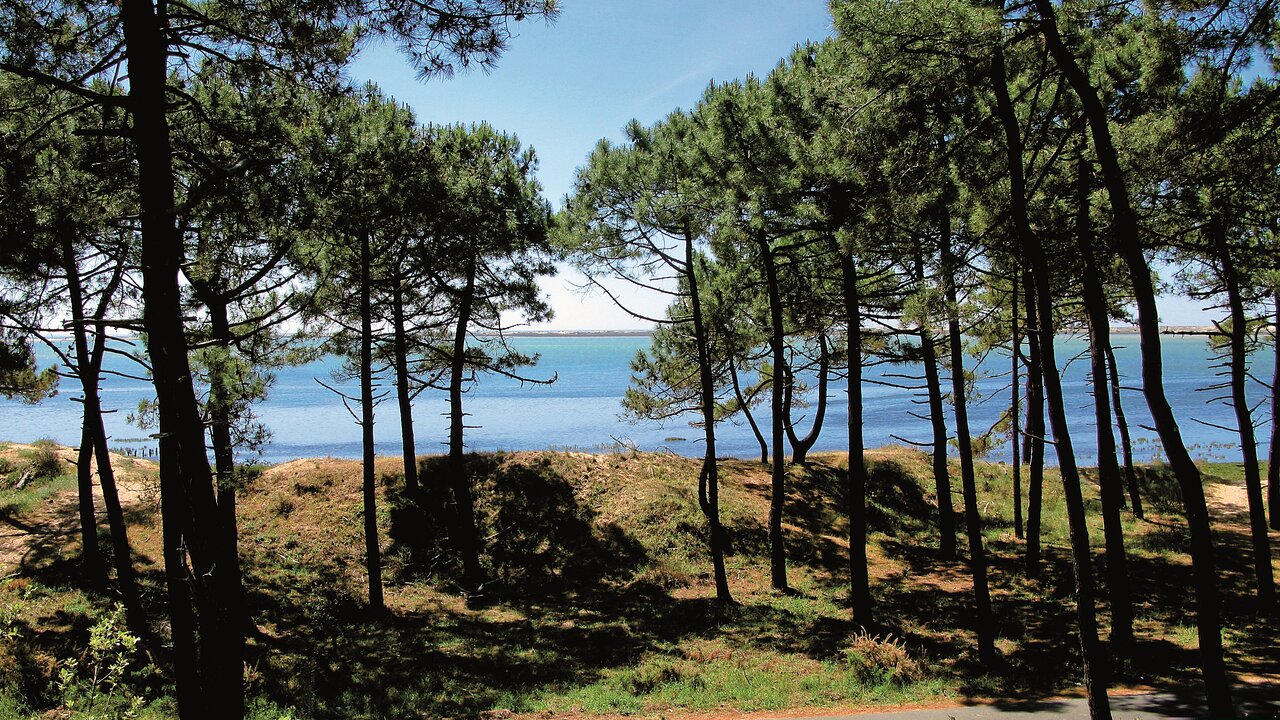 Studio vacances Les Mathes — L'Écrin Éminence · Forêt de la Coubre